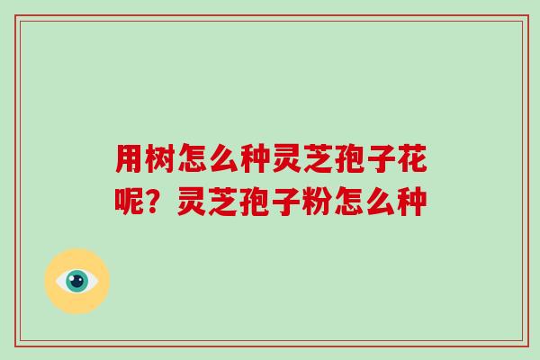 用树怎么种灵芝孢子花呢?灵芝孢子粉怎么种