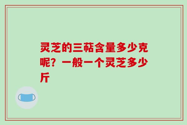灵芝的三萜含量多少克呢?一般一个灵芝多少斤