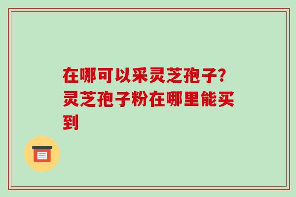 在哪可以采灵芝孢子?灵芝孢子粉在哪里能买到