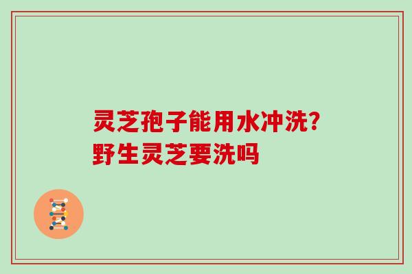 灵芝孢子能用水冲洗?野生灵芝要洗吗