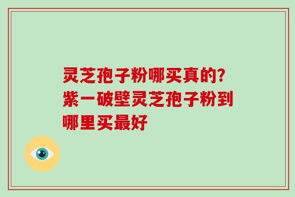 灵芝孢子粉哪买真的?紫一破壁灵芝孢子粉到哪里买最好