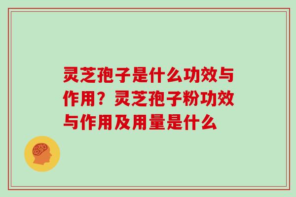 灵芝孢子是什么功效与作用?灵芝孢子粉功效与作用及用量是什么