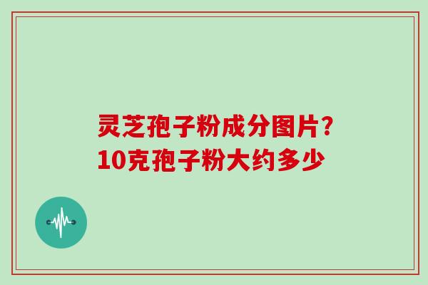 灵芝孢子粉成分图片?10克孢子粉大约多少