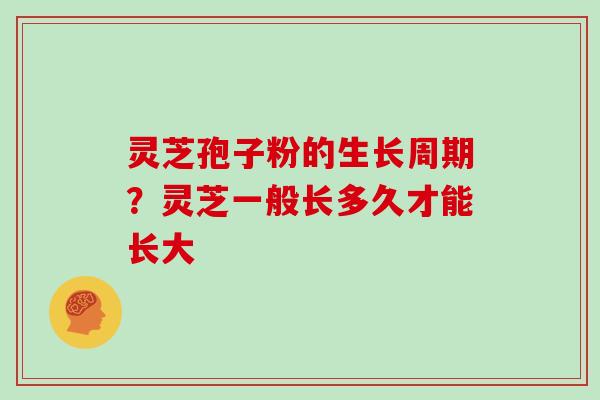 灵芝孢子粉的生长周期?灵芝一般长多久才能长大