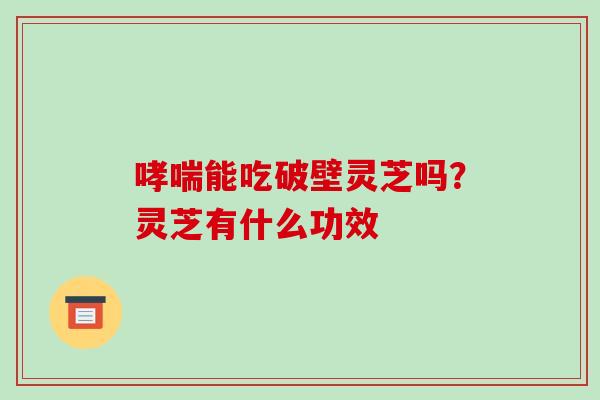 哮喘能吃破壁灵芝吗?灵芝有什么功效