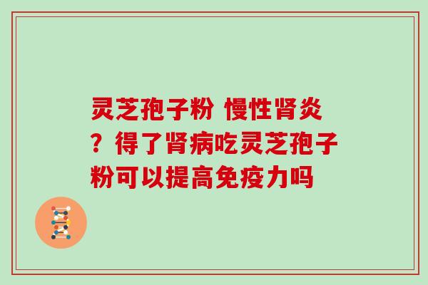 灵芝孢子粉 慢性肾炎?得了肾病吃灵芝孢子粉可以提高免疫力吗
