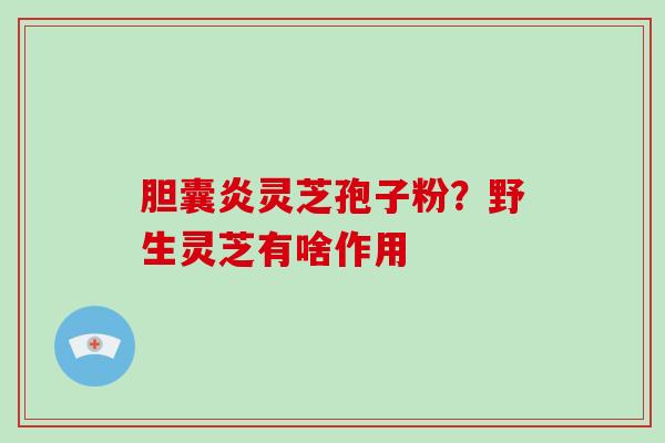 胆囊炎灵芝孢子粉？野生灵芝有啥作用