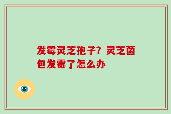 发霉灵芝孢子?灵芝菌包发霉了怎么办