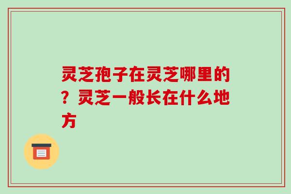 灵芝孢子在灵芝哪里的?灵芝一般长在什么地方