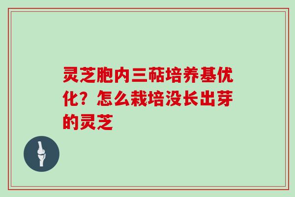灵芝胞内三萜培养基优化?怎么栽培没长出芽的灵芝