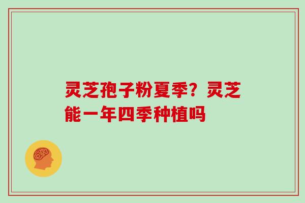 灵芝孢子粉夏季?灵芝能一年四季种植吗