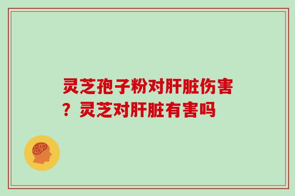 灵芝孢子粉对肝脏伤害？灵芝对肝脏有害吗