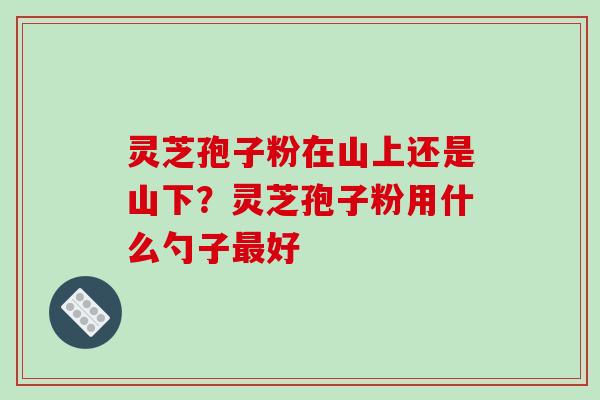 灵芝孢子粉在山上还是山下?灵芝孢子粉用什么勺子最好