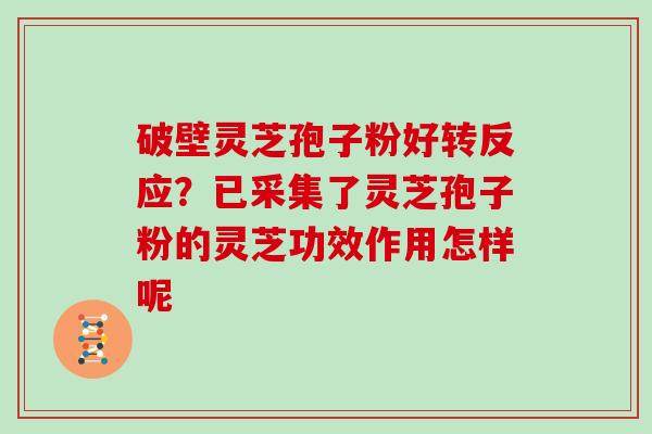 破壁灵芝孢子粉好转反应?已采集了灵芝孢子粉的灵芝功效作用怎样呢