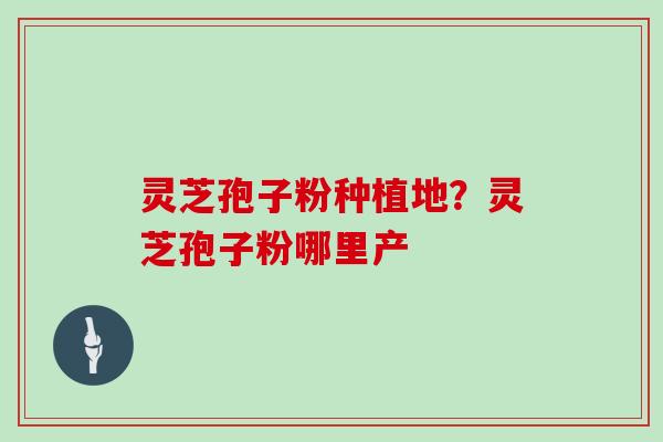 灵芝孢子粉种植地?灵芝孢子粉哪里产