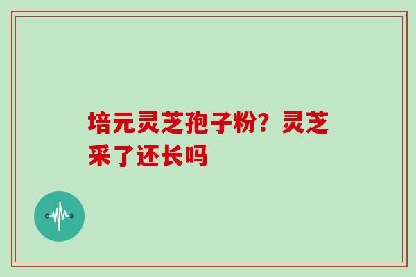 培元灵芝孢子粉？灵芝采了还长吗
