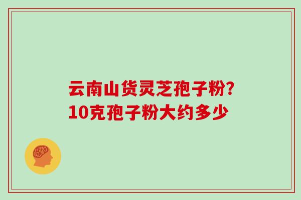 云南山货灵芝孢子粉?10克孢子粉大约多少