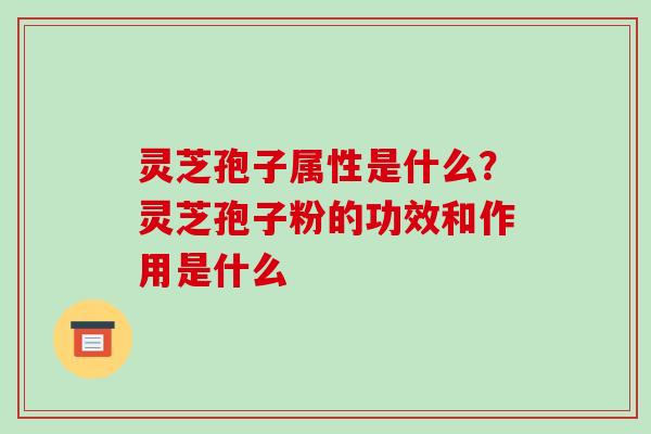 灵芝孢子属性是什么？灵芝孢子粉的功效和作用是什么