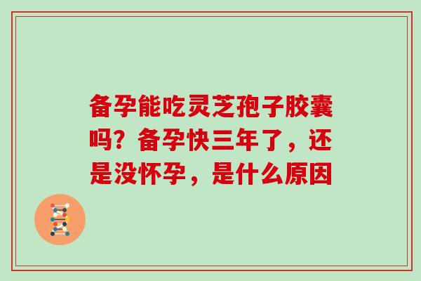 备孕能吃灵芝孢子胶囊吗？备孕快三年了，还是没怀孕，是什么原因