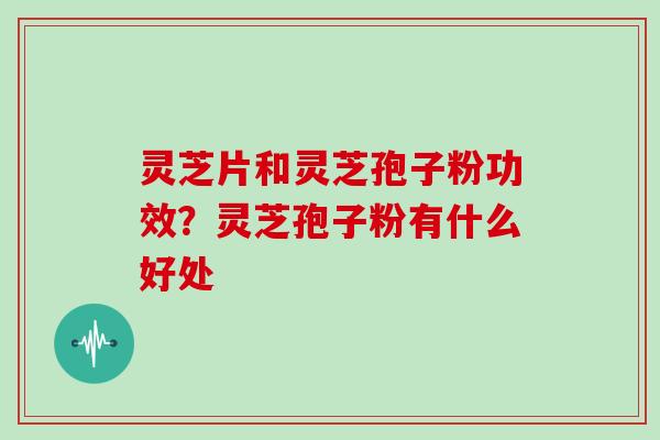 灵芝片和灵芝孢子粉功效?灵芝孢子粉有什么好处