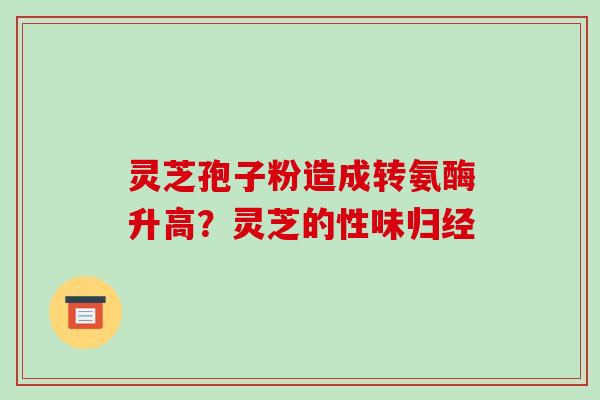灵芝孢子粉造成转氨酶升高?灵芝的性味归经