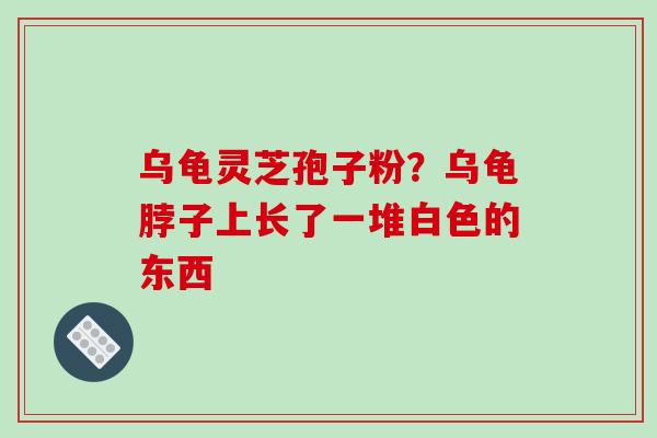 乌龟灵芝孢子粉?乌龟脖子上长了一堆白色的东西
