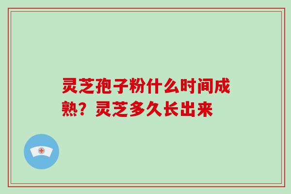 灵芝孢子粉什么时间成熟？灵芝多久长出来