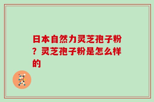日本自然力灵芝孢子粉?灵芝孢子粉是怎么样的