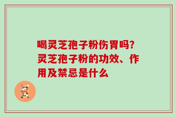 喝灵芝孢子粉伤胃吗？灵芝孢子粉的功效、作用及禁忌是什么