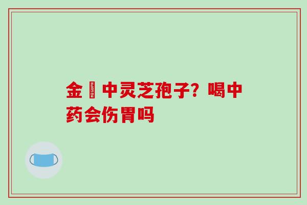 金貴中灵芝孢子?喝中药会伤胃吗