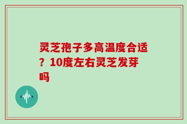 灵芝孢子多高温度合适?10度左右灵芝发芽吗