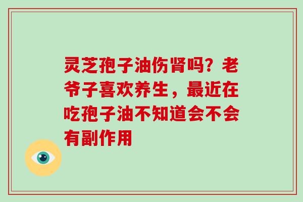 灵芝孢子油伤肾吗?老爷子喜欢养生,最近在吃孢子油不知道会不会有副作用