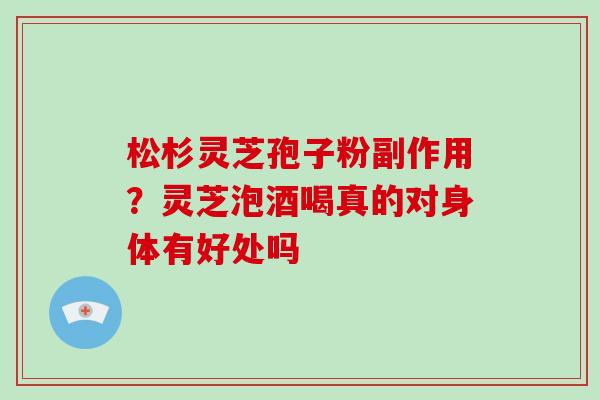 松杉灵芝孢子粉副作用?灵芝泡酒喝真的对身体有好处吗