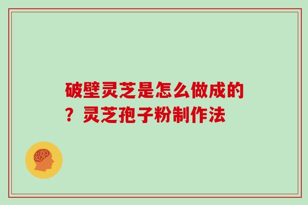 破壁灵芝是怎么做成的？灵芝孢子粉制作法