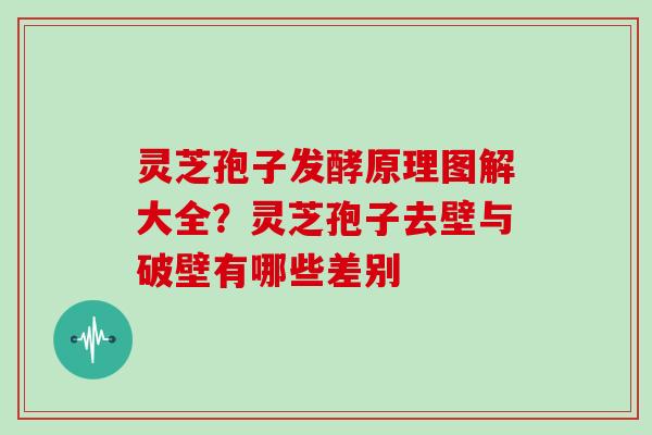 灵芝孢子发酵原理图解大全?灵芝孢子去壁与破壁有哪些差别