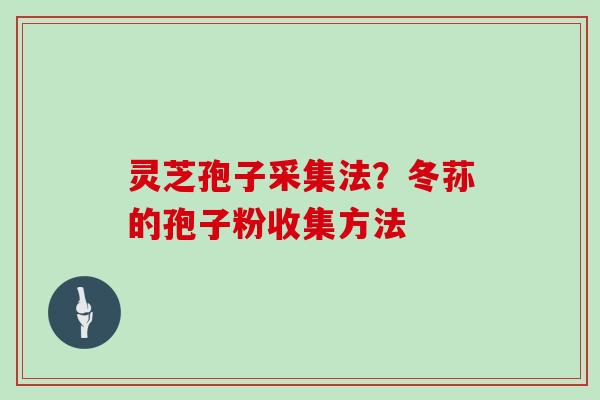 灵芝孢子采集法？冬荪的孢子粉收集方法