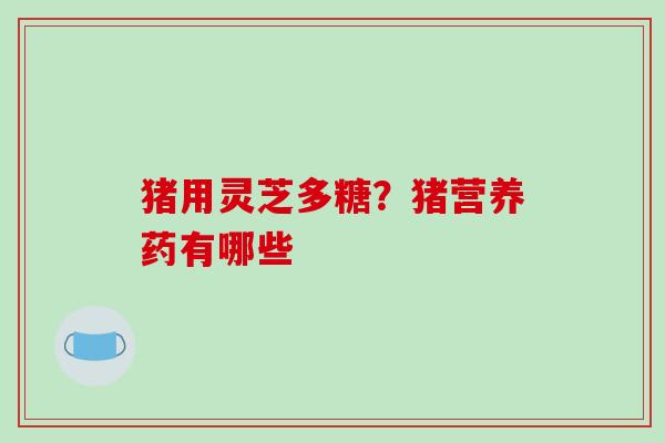 猪用灵芝多糖?猪营养药有哪些