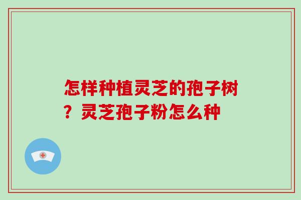 怎样种植灵芝的孢子树?灵芝孢子粉怎么种