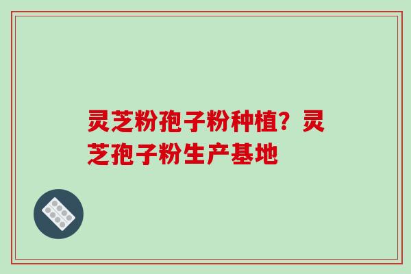 灵芝粉孢子粉种植？灵芝孢子粉生产基地