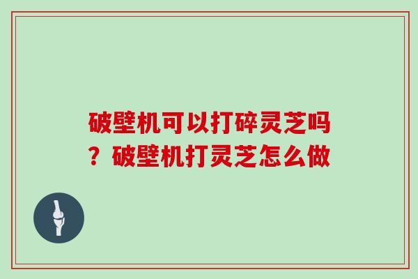 破壁机可以打碎灵芝吗?破壁机打灵芝怎么做