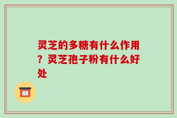 灵芝的多糖有什么作用?灵芝孢子粉有什么好处