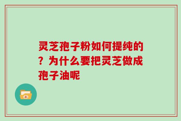 灵芝孢子粉如何提纯的？为什么要把灵芝做成孢子油呢