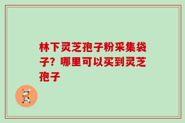 林下灵芝孢子粉采集袋子？哪里可以买到灵芝孢子