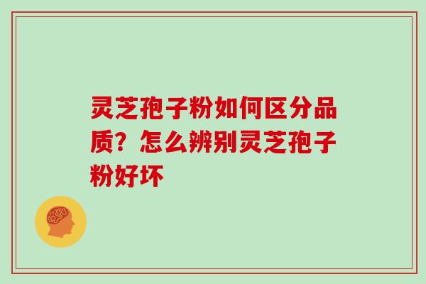 灵芝孢子粉如何区分品质？怎么辨别灵芝孢子粉好坏