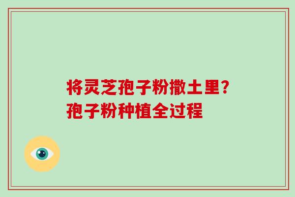 将灵芝孢子粉撒土里?孢子粉种植全过程