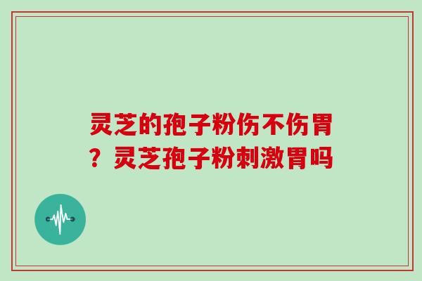 灵芝的孢子粉伤不伤胃？灵芝孢子粉刺激胃吗