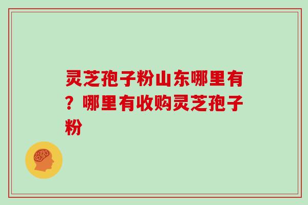 灵芝孢子粉山东哪里有?哪里有收购灵芝孢子粉