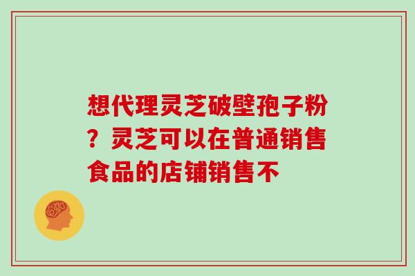 想代理灵芝破壁孢子粉？灵芝可以在普通销售食品的店铺销售不