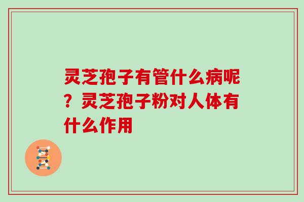 灵芝孢子有管什么病呢?灵芝孢子粉对人体有什么作用