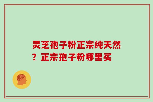 灵芝孢子粉正宗纯天然？正宗孢子粉哪里买